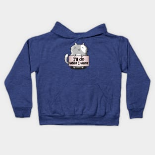 Cat Resolution Kids Hoodie